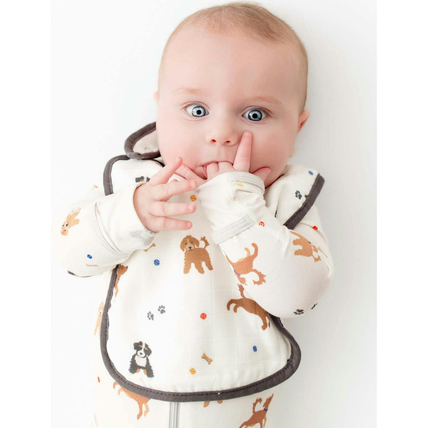 Bib Set
