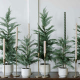 Tree Cedar Pot 3ft