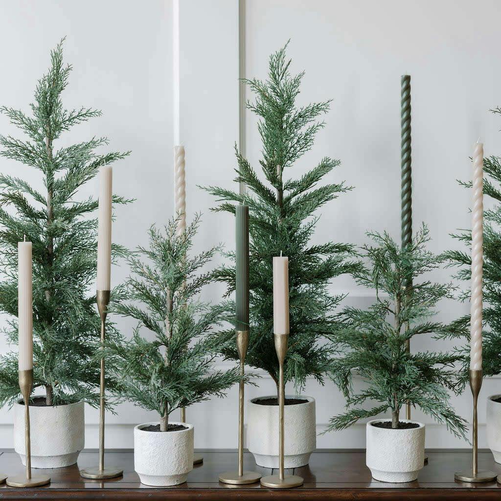 Tree Cedar Pot 3ft