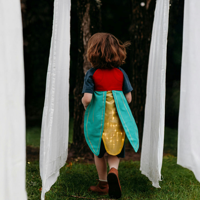 Firefly Costume Wings