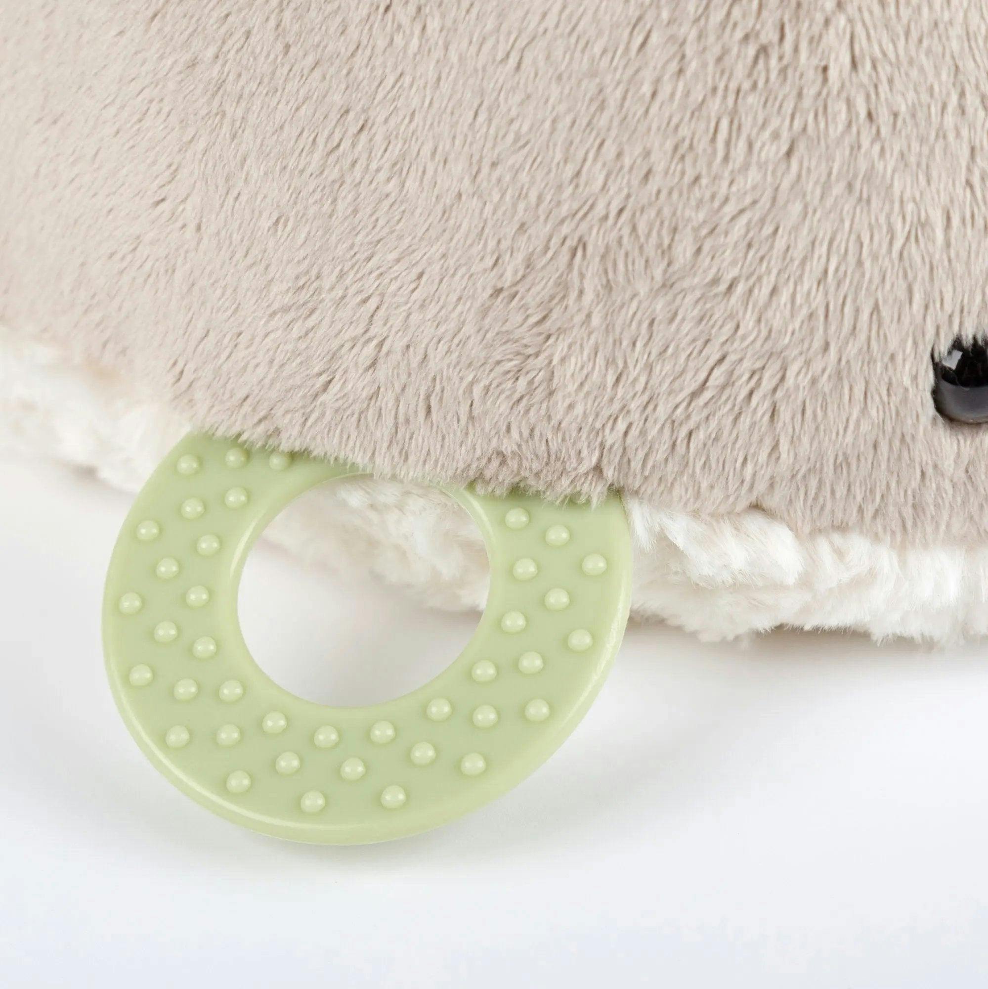 Dolphin Activity Toy