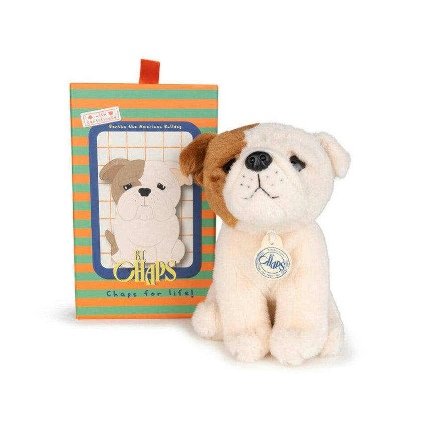 BT CHAPS BERTHA THE AMERICAN FLOPPY in Giftbox 6.5"