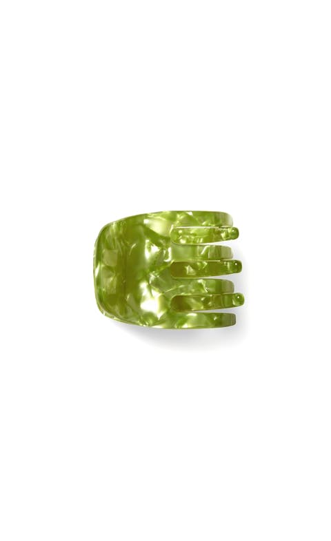 Mini Claw in Pistachio