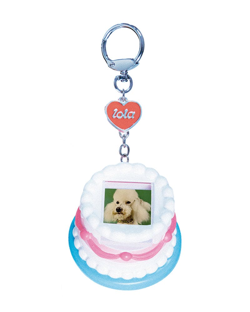 Photo Frame Key Chain Blind Box Figure - Series 1