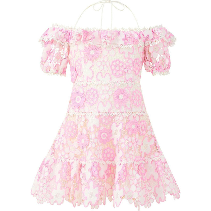 Haley Embroidered Mini Dress