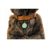 That's So Fetch Pet ID Tag
