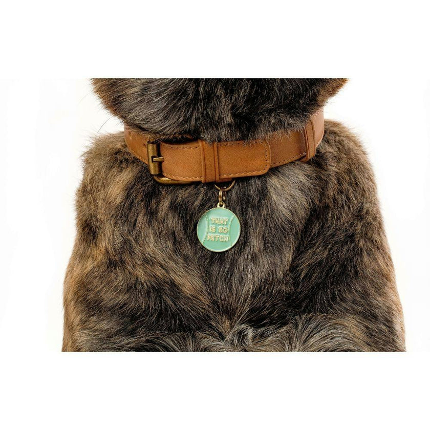 That's So Fetch Pet ID Tag