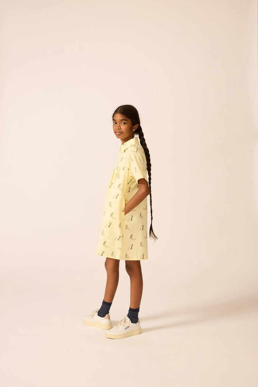 Shirtdress in Pale Yellow Duet