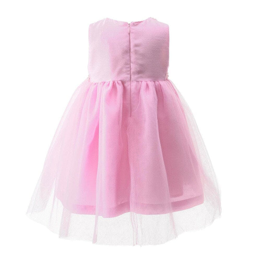 Baby Daisy Tulle Party Dress