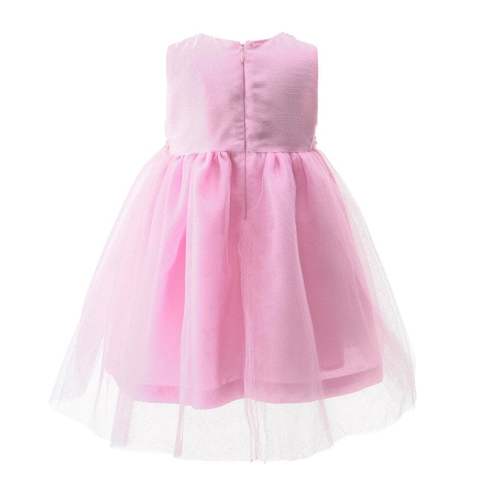 Baby Daisy Tulle Party Dress