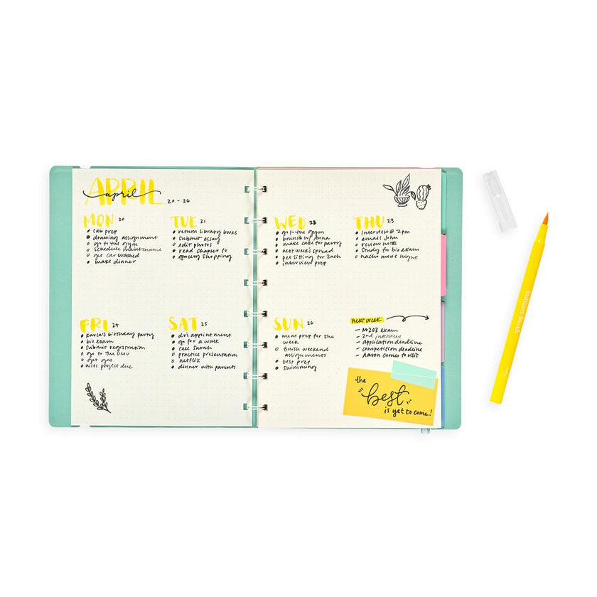 Brilliant Brush Markers - Reusable Case - Set of 12