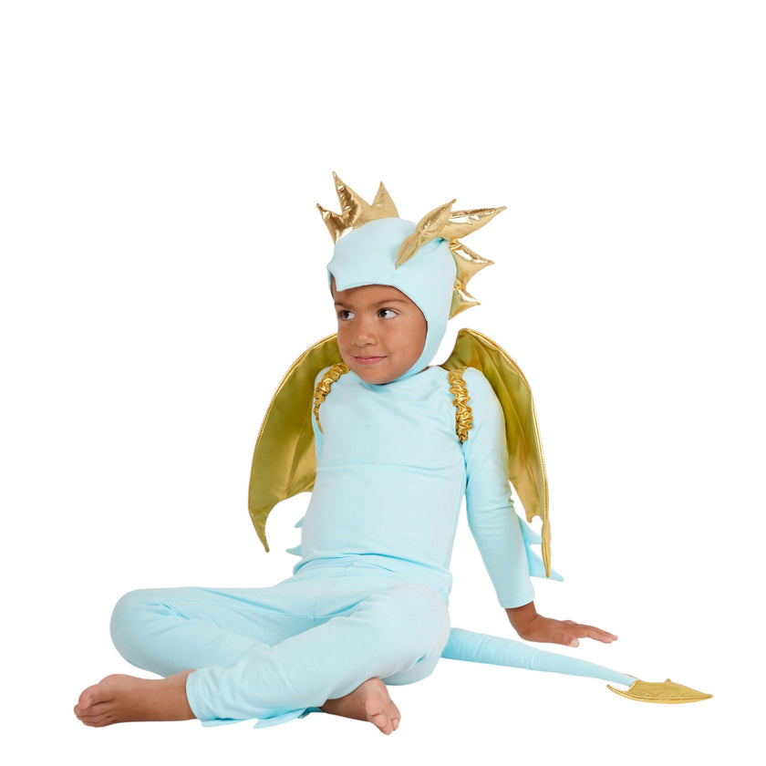 Sky Blue Dragon Costume