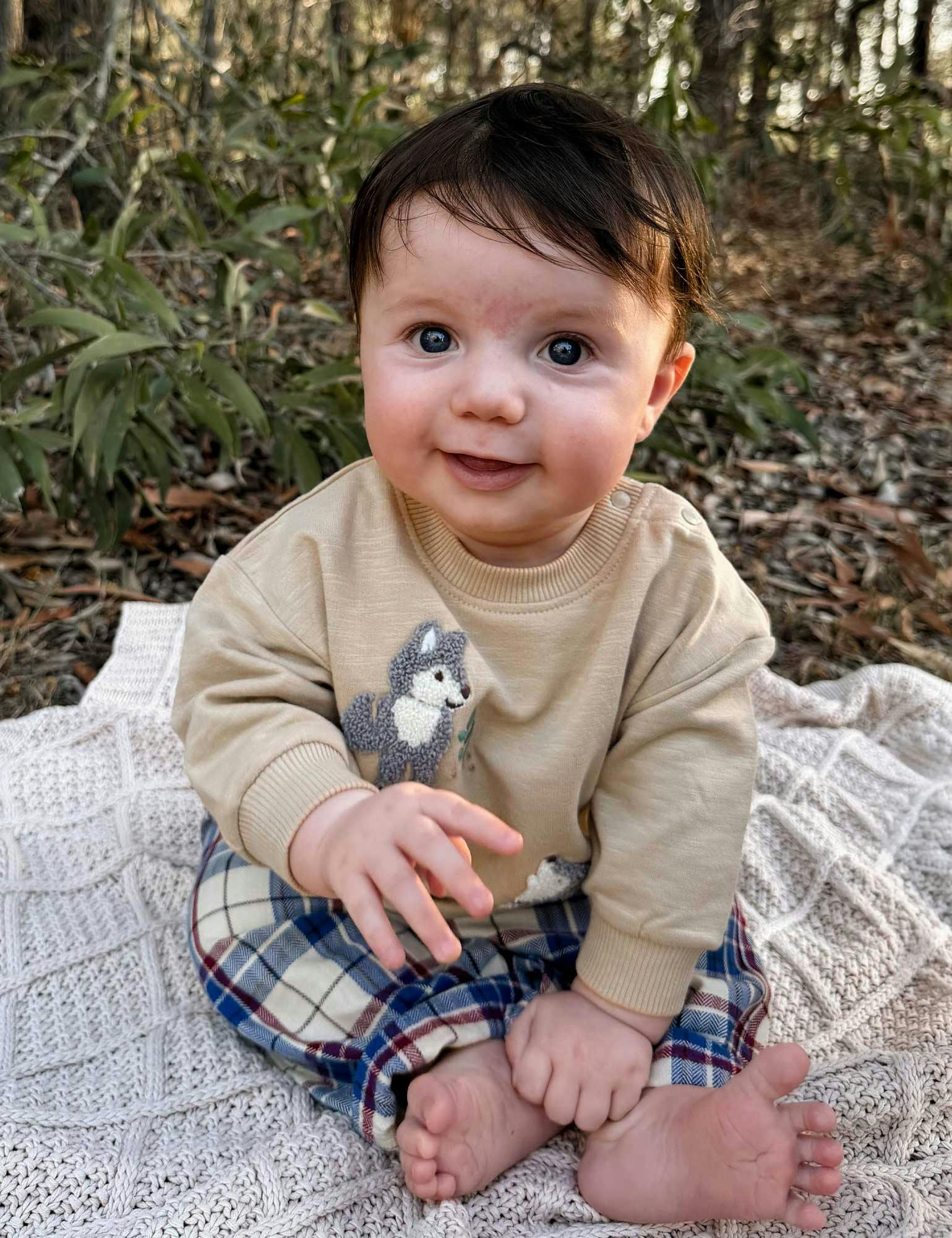 Little Wolf Windcheater Oatmeal