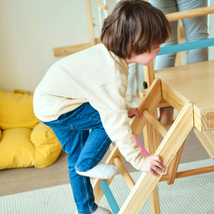 Grove | Foldable Jungle Gym - Wall Mounted