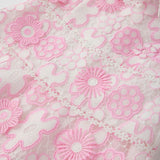 Haley Embroidered Mini Dress