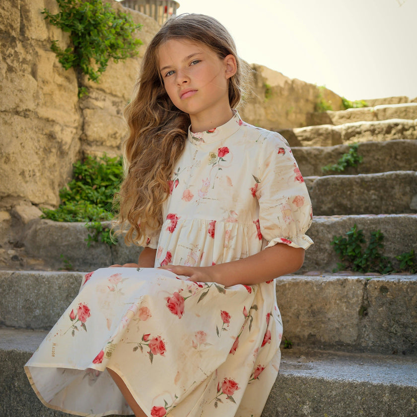 Madeleine Dress- Rose Garden Toile