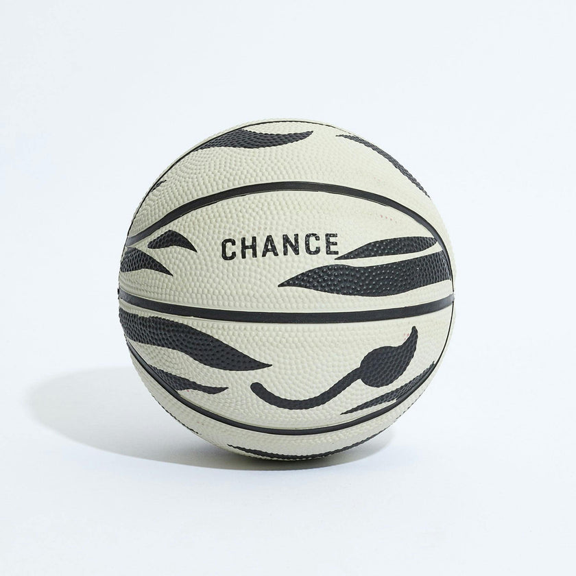 Zoe Mini Basketball (17")