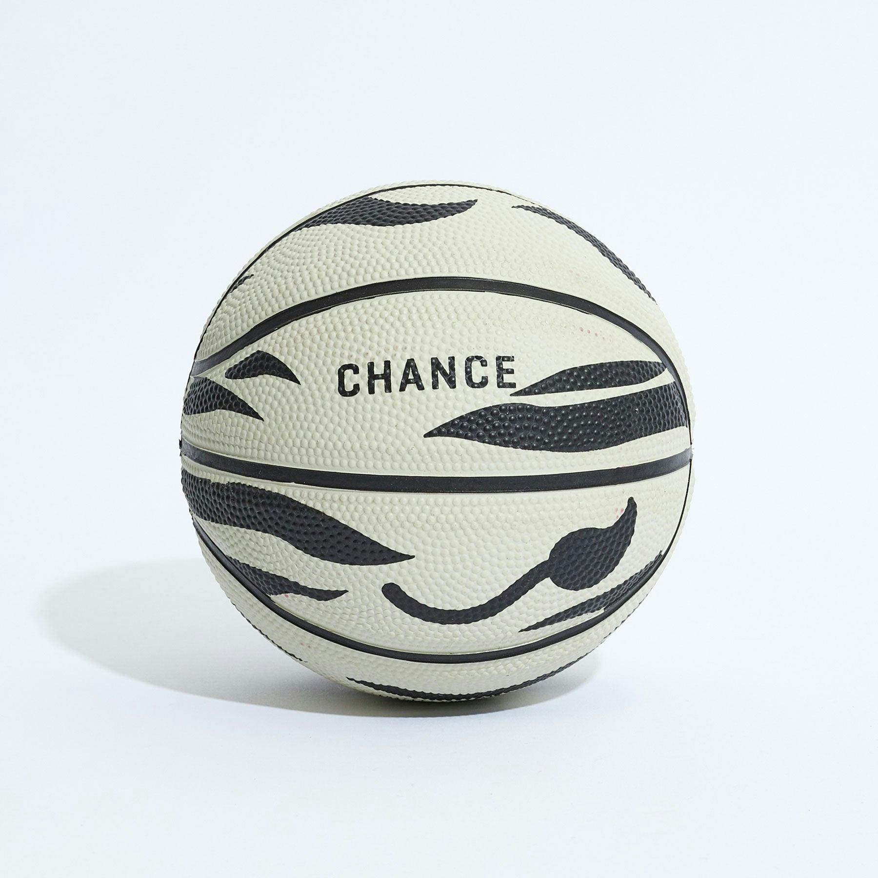 Zoe Mini Basketball (17