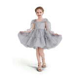 Light Aureline Gray Ruffled Party Dress