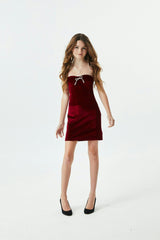 Ella Wine Stretch Velour Dress