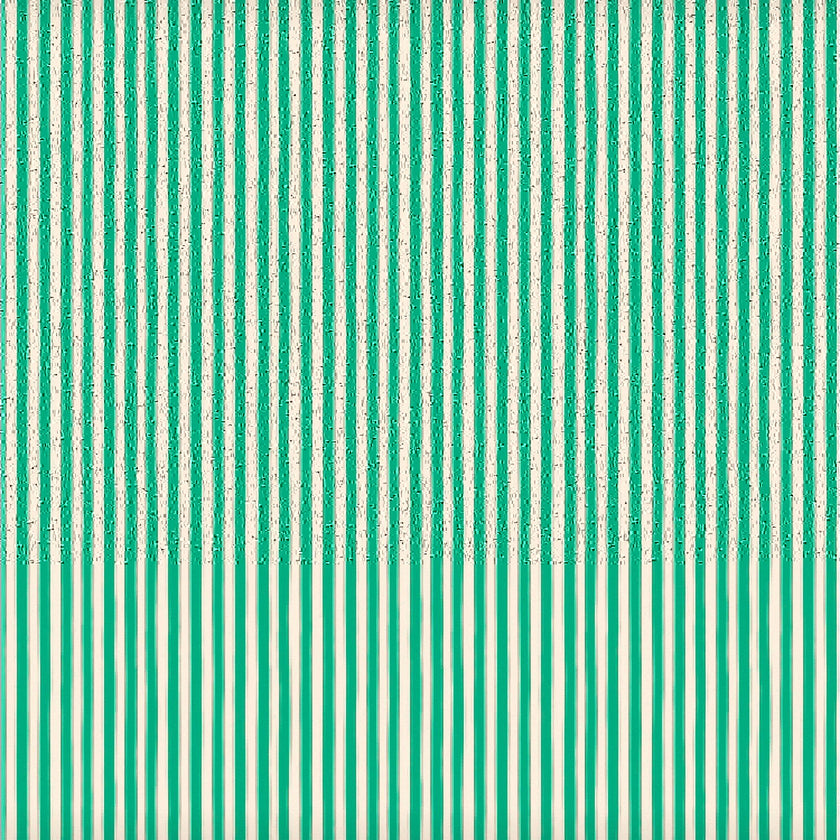 Pop stripes surfer swim shorts