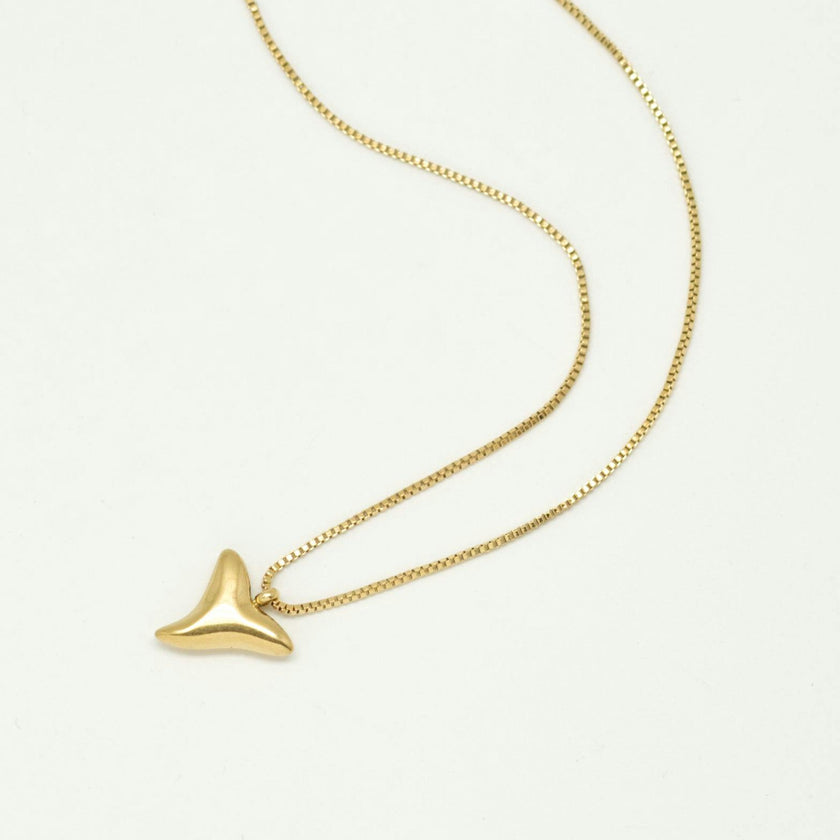 Shark tooth