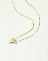 Shark tooth