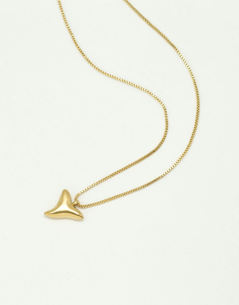 Shark tooth