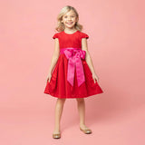 Lilibet Velvet & Satin Party Dress