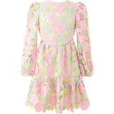 Estella Embroidered Mini Dress