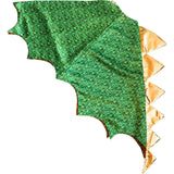 Dragon and Wizard Costume Gift Set,  Green/Black