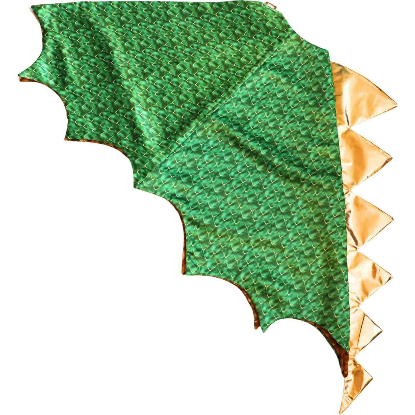Dragon and Wizard Costume Gift Set,  Green/Black