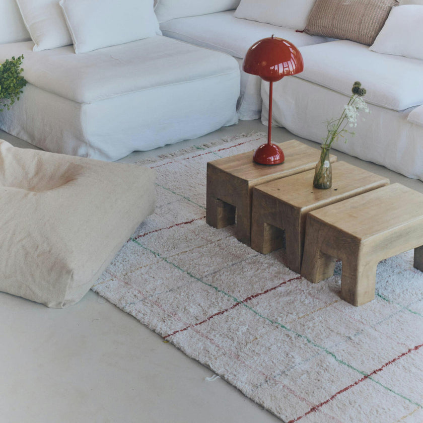 Washable Rug. Multi
