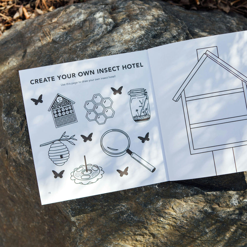 Bugs: How to Draw Books for Kids