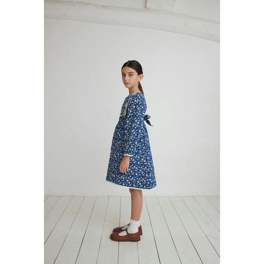 Amari Dress