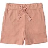 Organic Tee & Shorts Set - Cars
