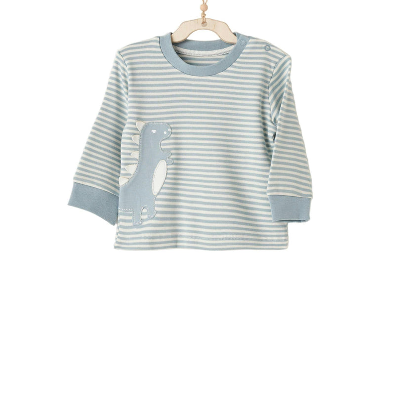 Dino Stripe PJ Set