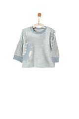 Dino Stripe PJ Set