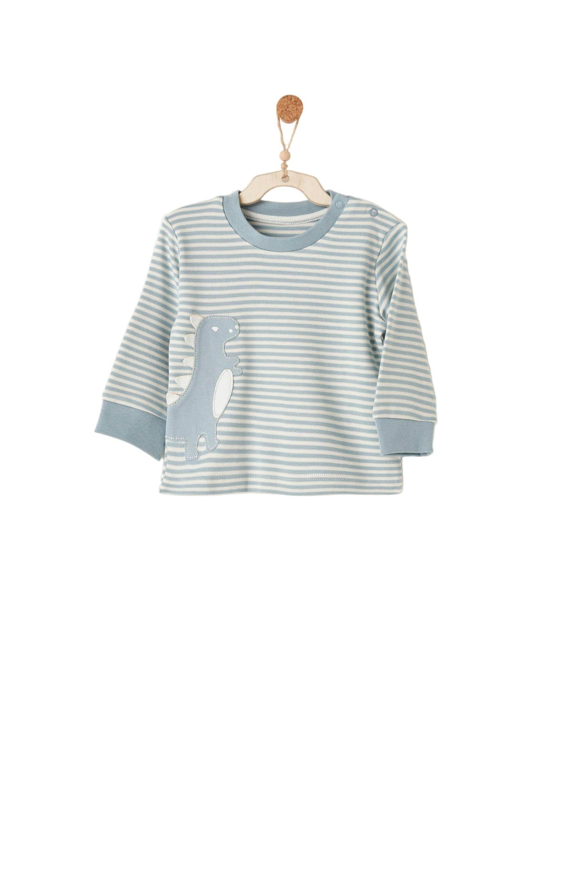 Dino Stripe PJ Set