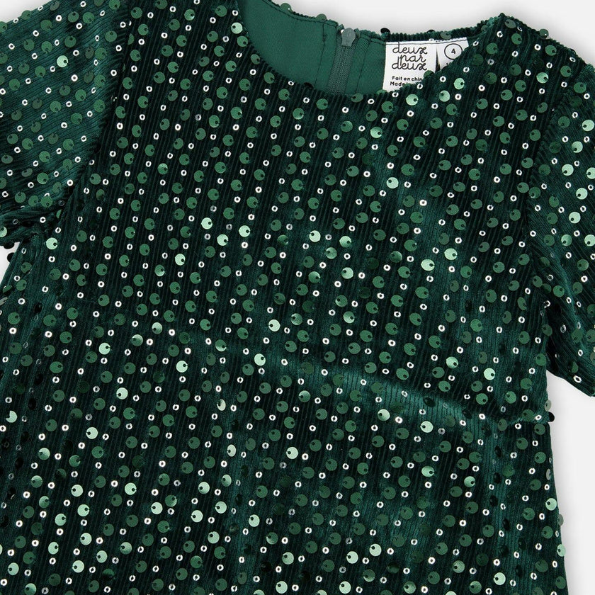 Velvet Short Sleeve Dress