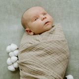 Organic Cotton Muslin Swaddle Blanket 2 Pack - Dino Driftwood (Walmart)