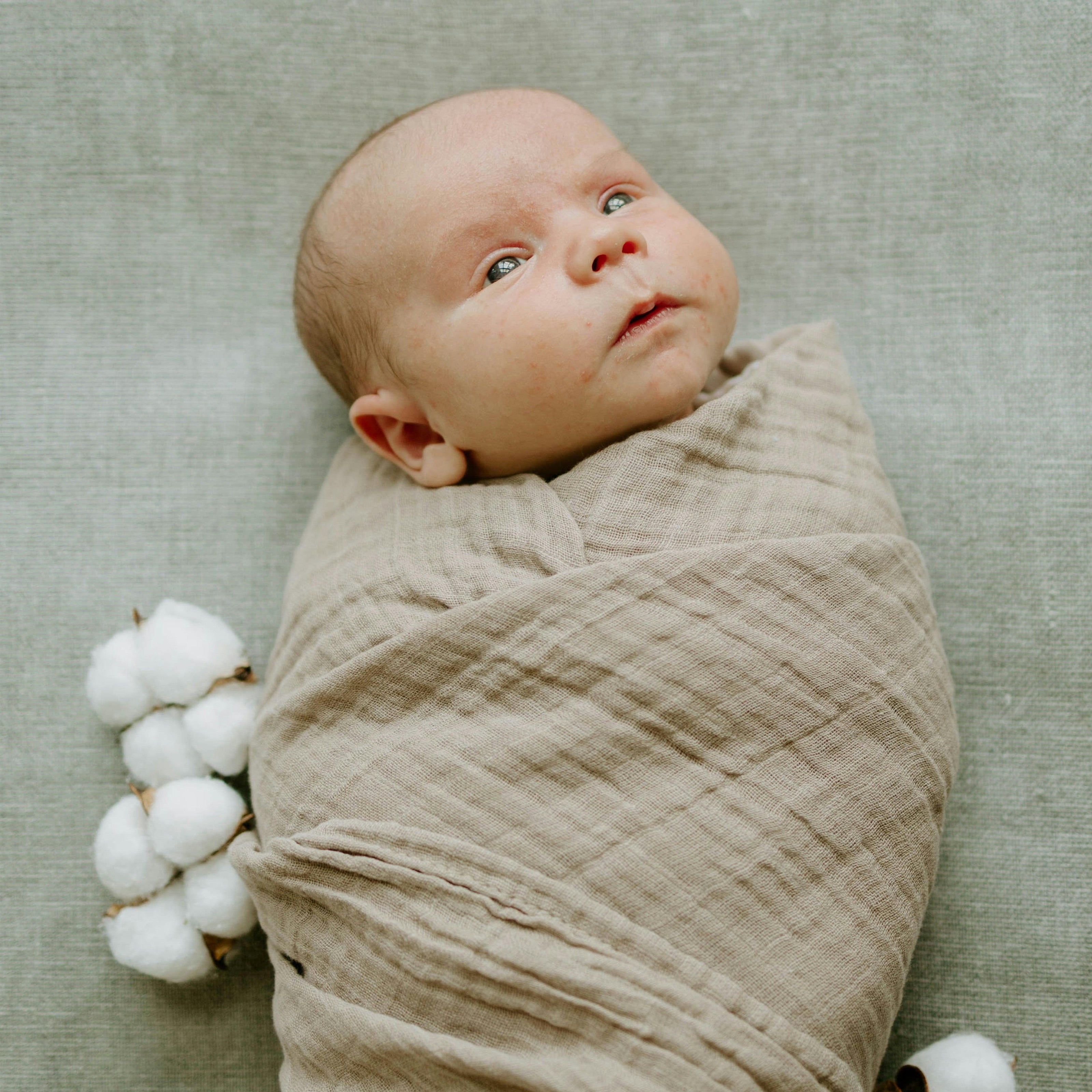 Organic Cotton Muslin Swaddle Blanket 2 Pack - Dino Driftwood (Walmart)