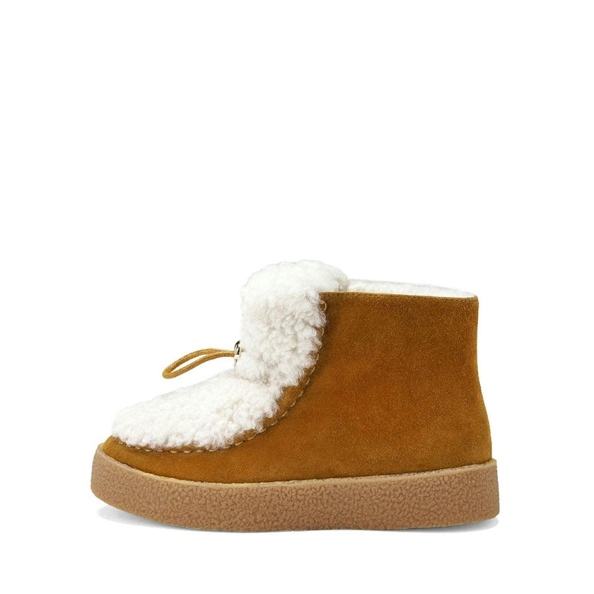 Aspen Camel