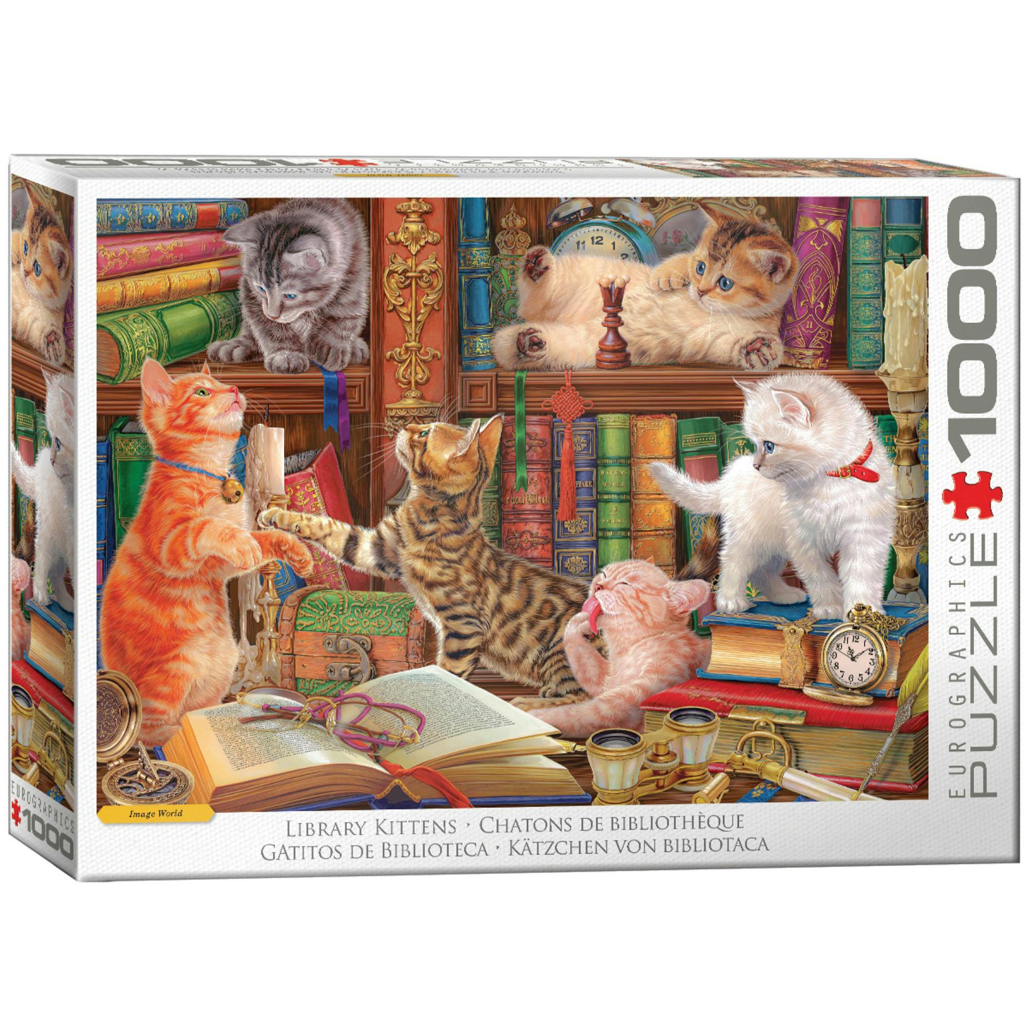 Library Kittens - 1000 PC Puzzle