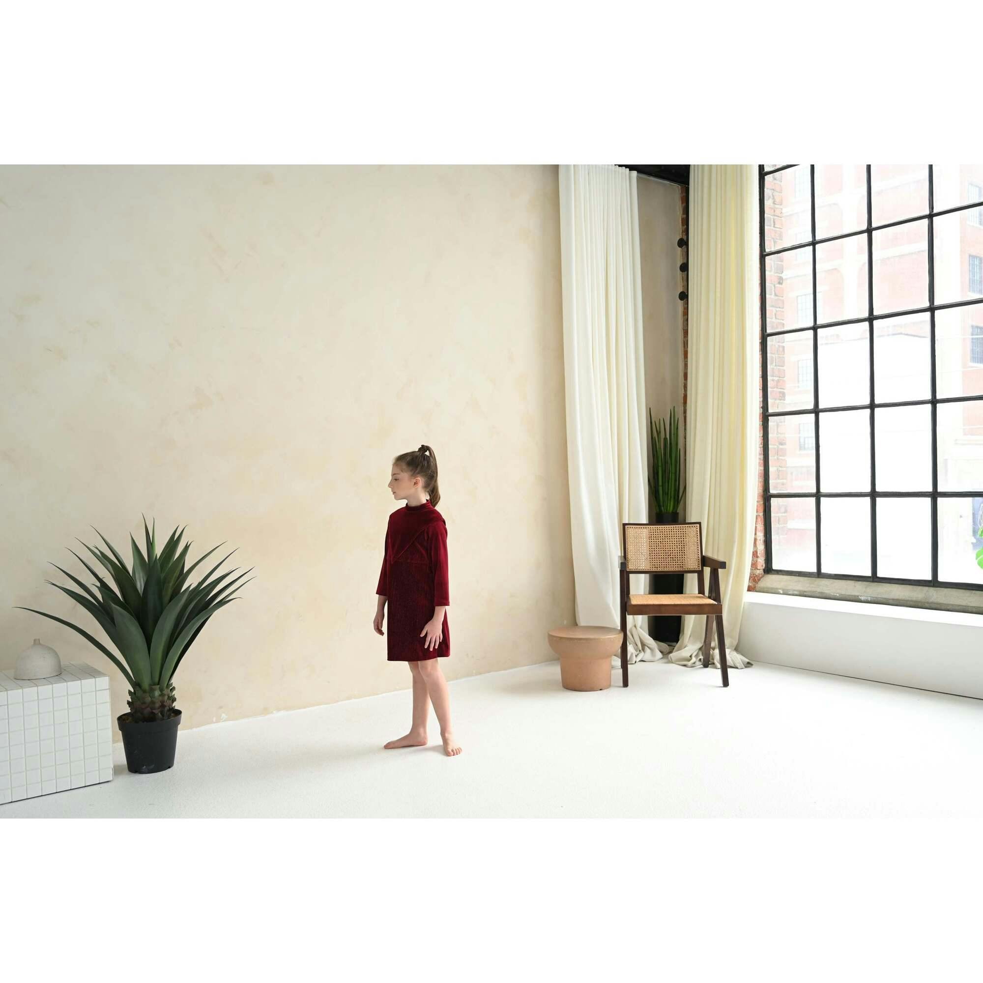 Leila dress (gray velvet)