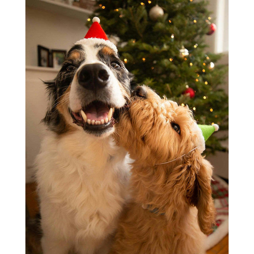 HOLIDAY HAT