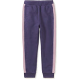 Colorblock Stripe-Out Elastic Waist Drawstring Pocket Joggers, Purple