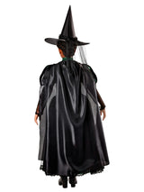 Girls' The Wizard of Oz Wicked Witch Costume - Deluxe