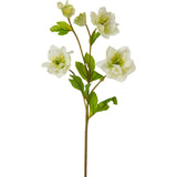 Real Touch Helleborus Stem 24" Single Real Touch Faux Floral Spray
