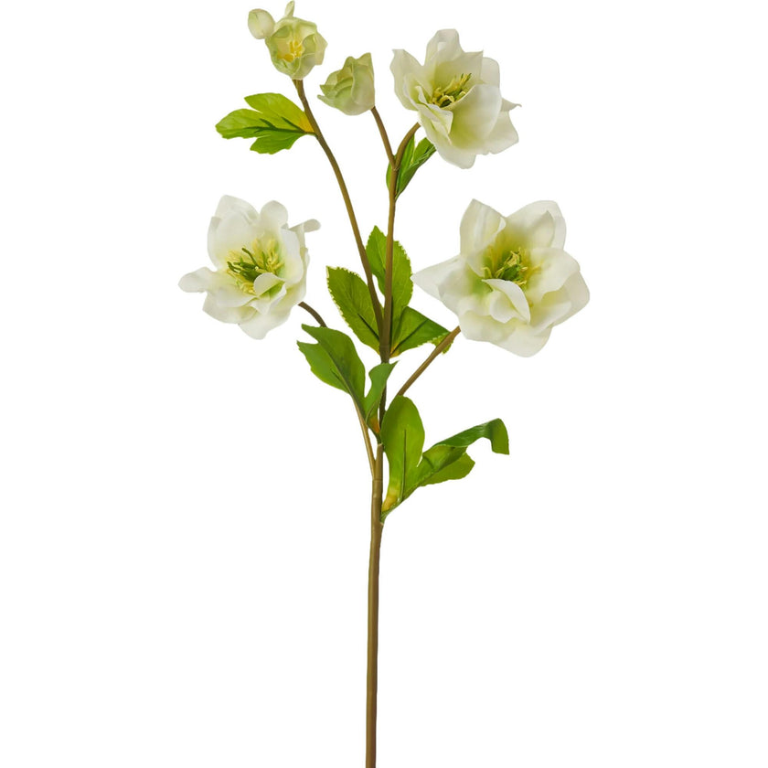 Real Touch Helleborus Stem 24" Single Real Touch Faux Floral Spray